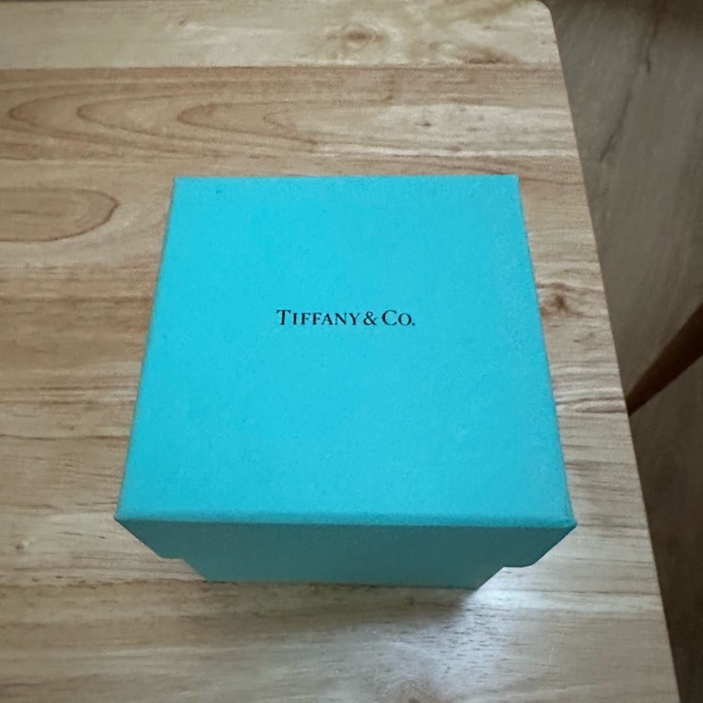 Tiffani and co piggy bank year of the rat